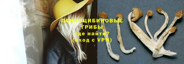 меф Алексин