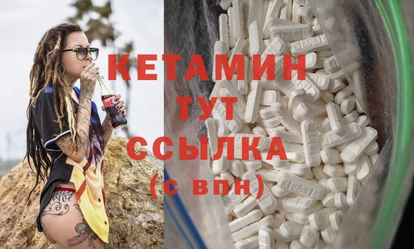 стаф Пересвет