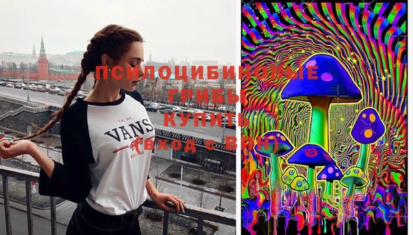 дживик Алзамай