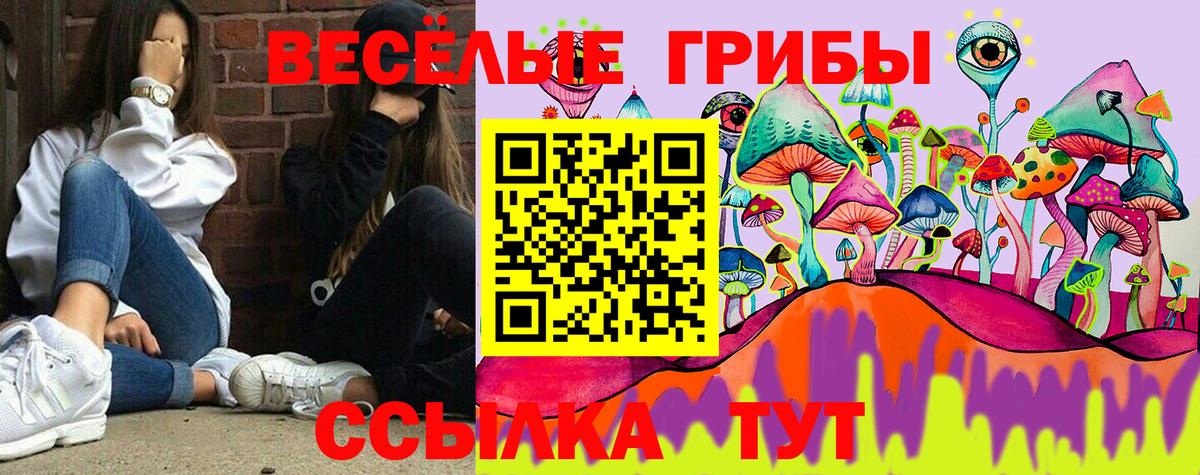 Галлюциногенные грибы мухоморы Куйбышев